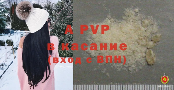 ГАЛЛЮЦИНОГЕННЫЕ ГРИБЫ Балабаново