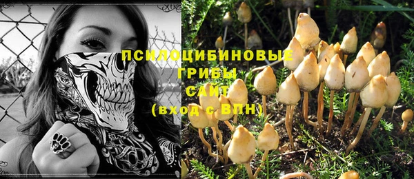 ГАЛЛЮЦИНОГЕННЫЕ ГРИБЫ Балабаново