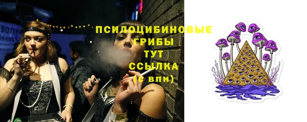 ГАЛЛЮЦИНОГЕННЫЕ ГРИБЫ Балабаново